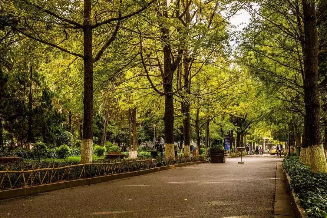 昆明市好消息,云南昆明好消息