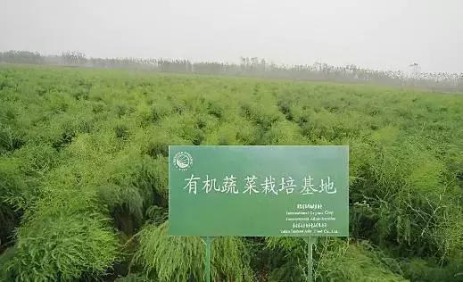 有机农业，你不知道的伤和痛