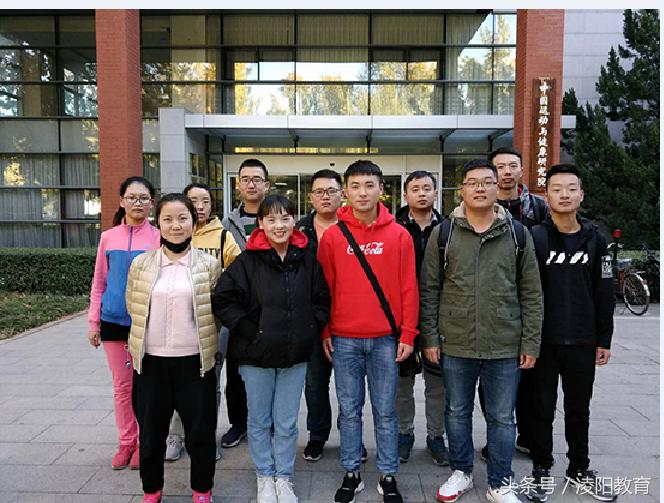 凌阳教育的培训怎么样,凌阳教育培训