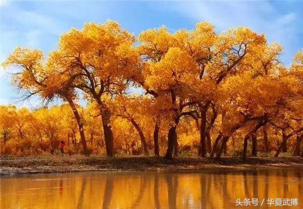 张国鹏钧瓷,张国鹏素描