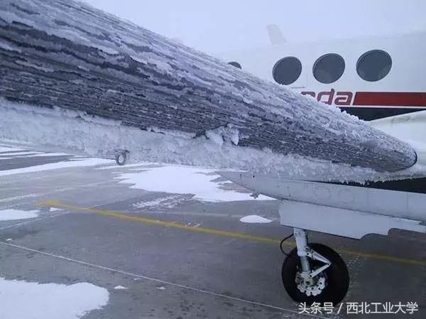 西工大黑科技丨一片竹叶，让他们做出了“飞机贴膜”