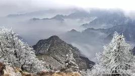 西工大黑科技丨一片竹叶，让他们做出了“飞机贴膜”