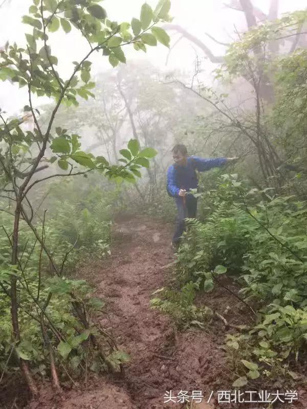 西工大黑科技丨一片竹叶，让他们做出了“飞机贴膜”