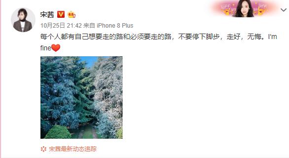 崔雪莉退出fx宋茜伤心,宋茜谈论崔雪莉退团揭秘背后真相