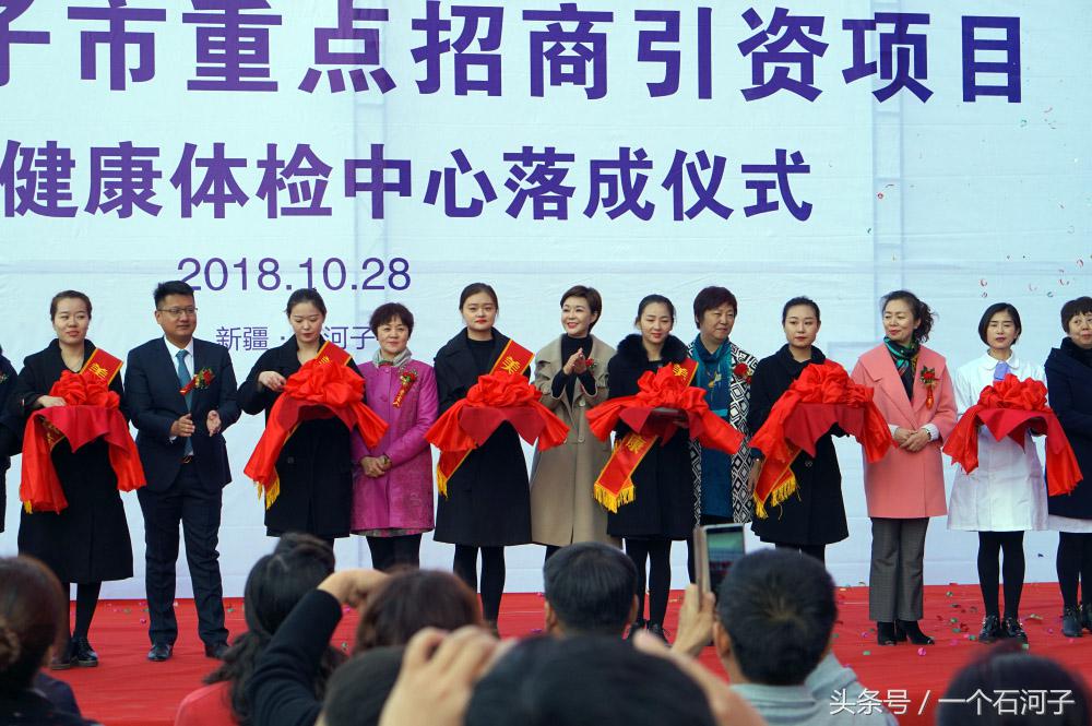 石河子八师招商引资,八师石河子市项目