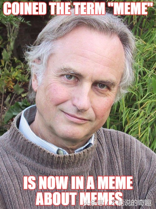 小孩握拳捂嘴笑表情包,握拳男孩表情包大全集