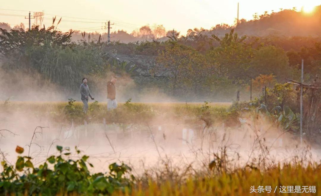 无锡正在消失的古村,无锡的真实村庄