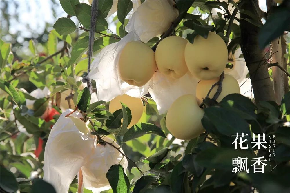 椋庡Э濞撮泤缁扮害澶氬Э,椋庡Э缁扮害娓╁杩蜂汉