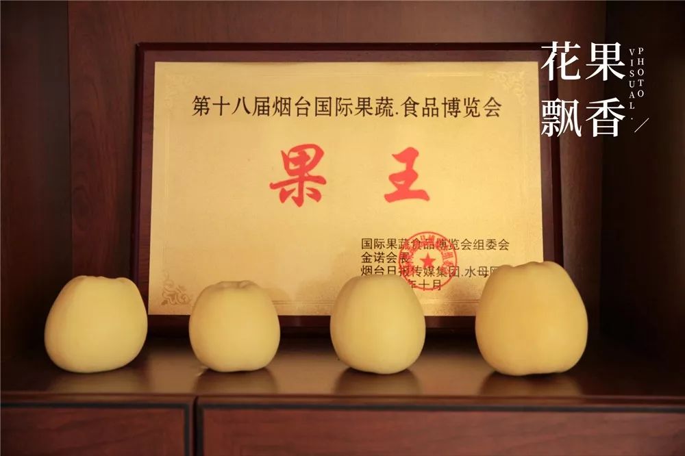 椋庡Э濞撮泤缁扮害澶氬Э,椋庡Э缁扮害娓╁杩蜂汉