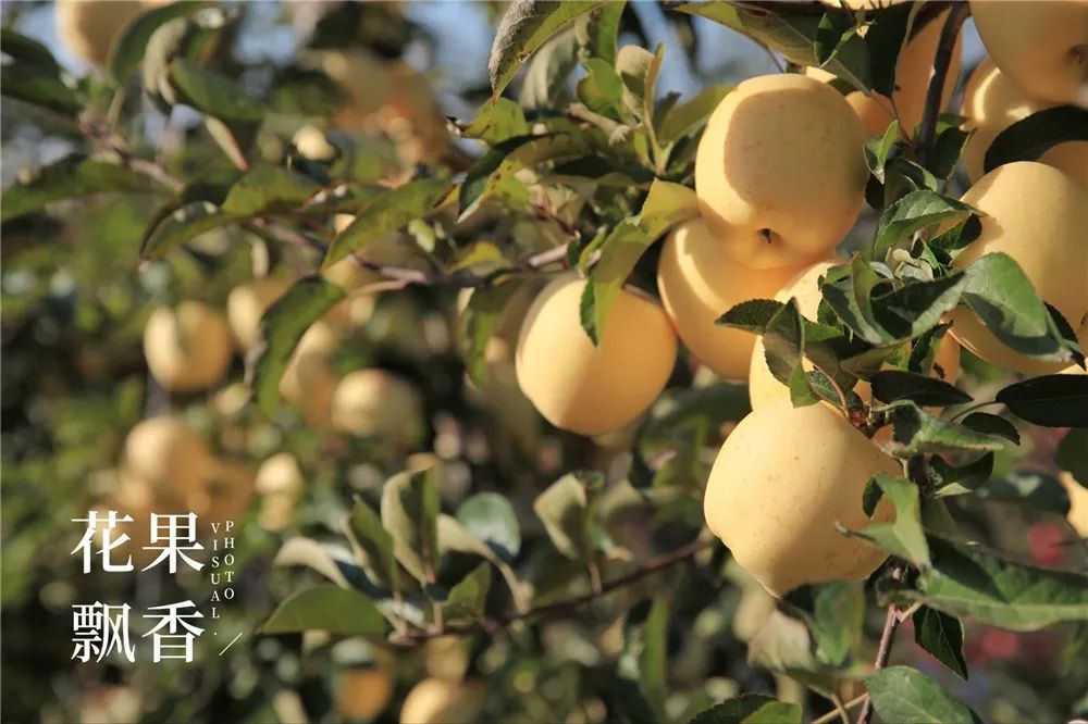 椋庡Э濞撮泤缁扮害澶氬Э,椋庡Э缁扮害娓╁杩蜂汉