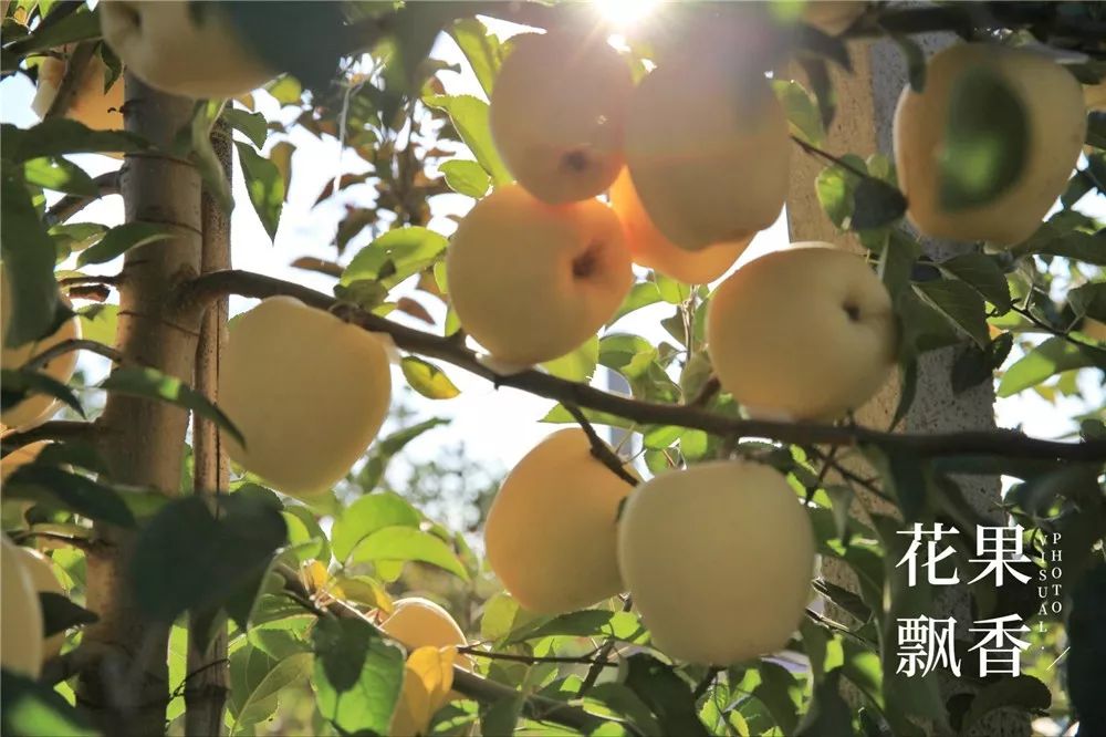 椋庡Э濞撮泤缁扮害澶氬Э,椋庡Э缁扮害娓╁杩蜂汉