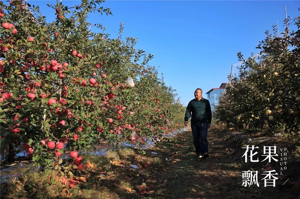 椋庡Э濞撮泤缁扮害澶氬Э,椋庡Э缁扮害娓╁杩蜂汉