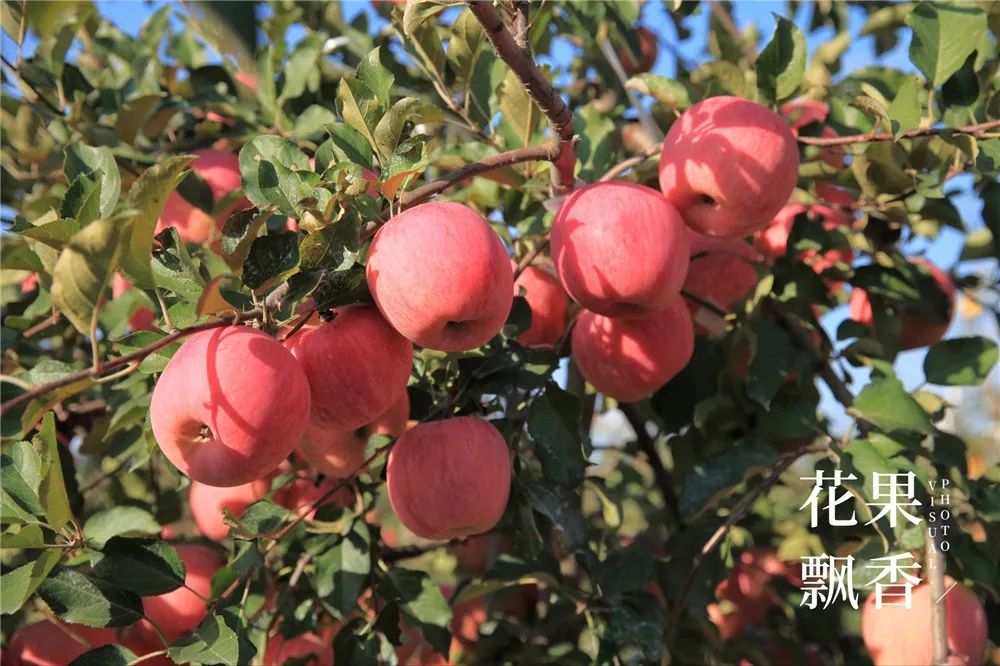 椋庡Э濞撮泤缁扮害澶氬Э,椋庡Э缁扮害娓╁杩蜂汉