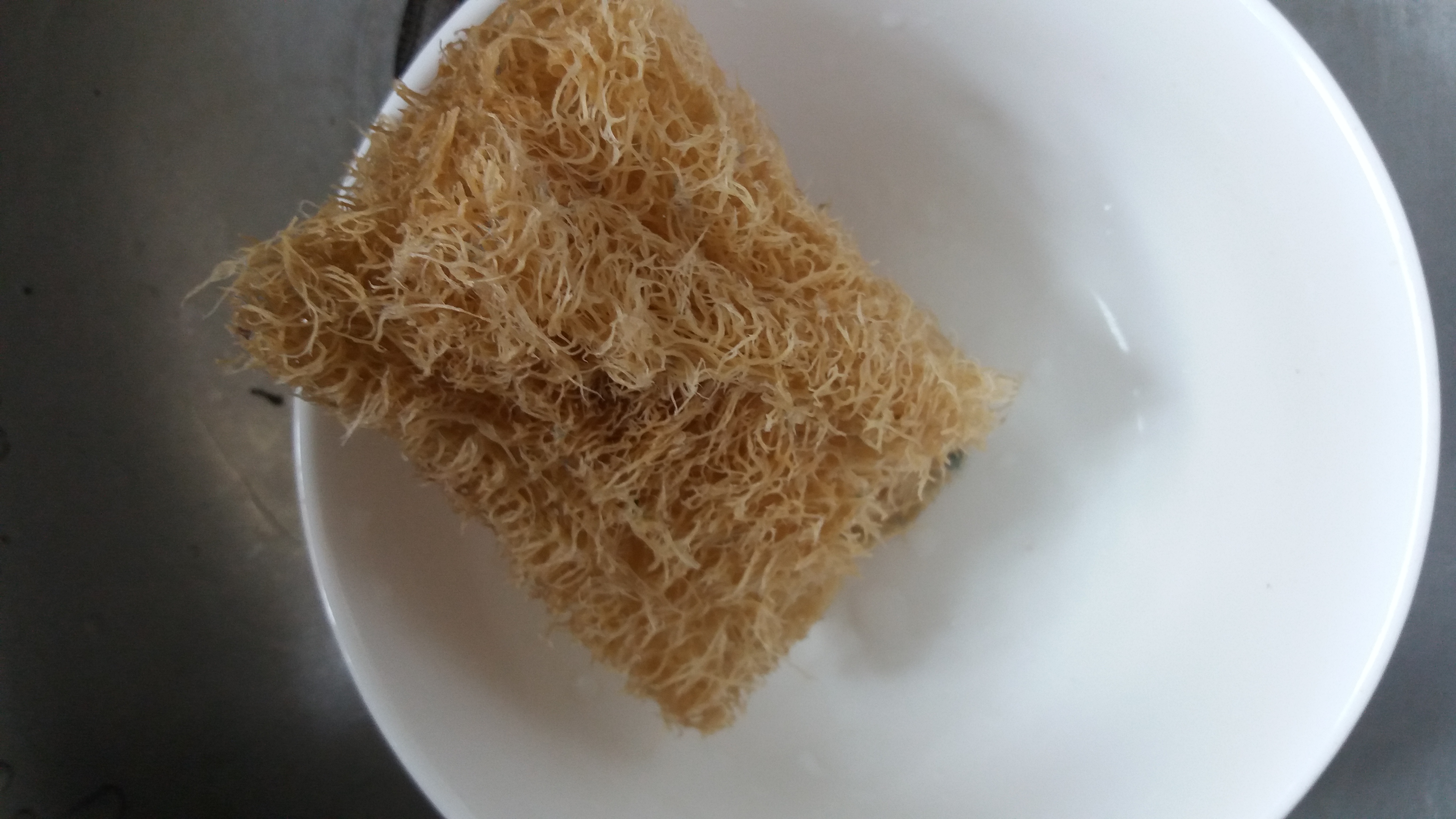 江西萍乡丝瓜,老家的丝瓜藤