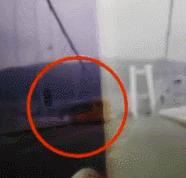 一家四口在车上的歌,一家四口在车上