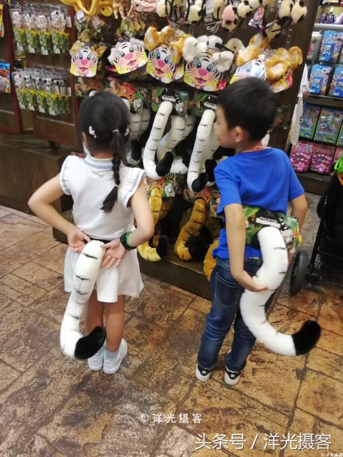 西方国家不给糖就捣蛋的节日,西方有不给糖就捣蛋是什么节日