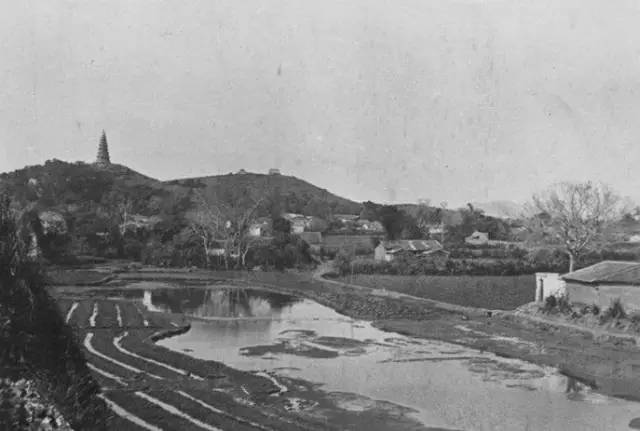 江阳现实版,我是江小白白酒图片