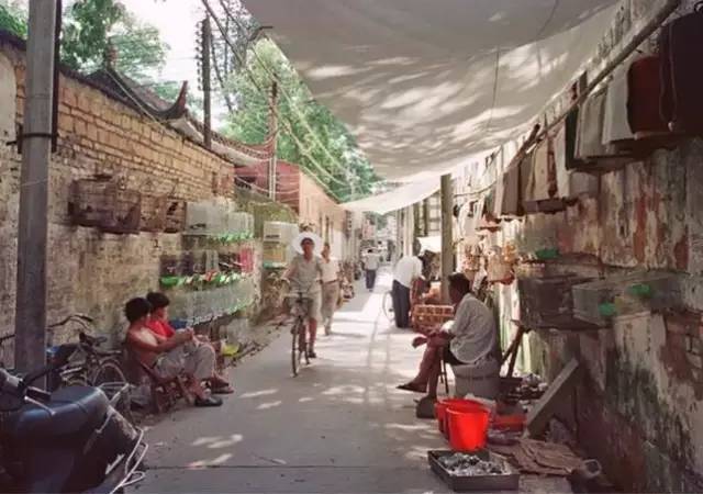 江阳现实版,我是江小白白酒图片