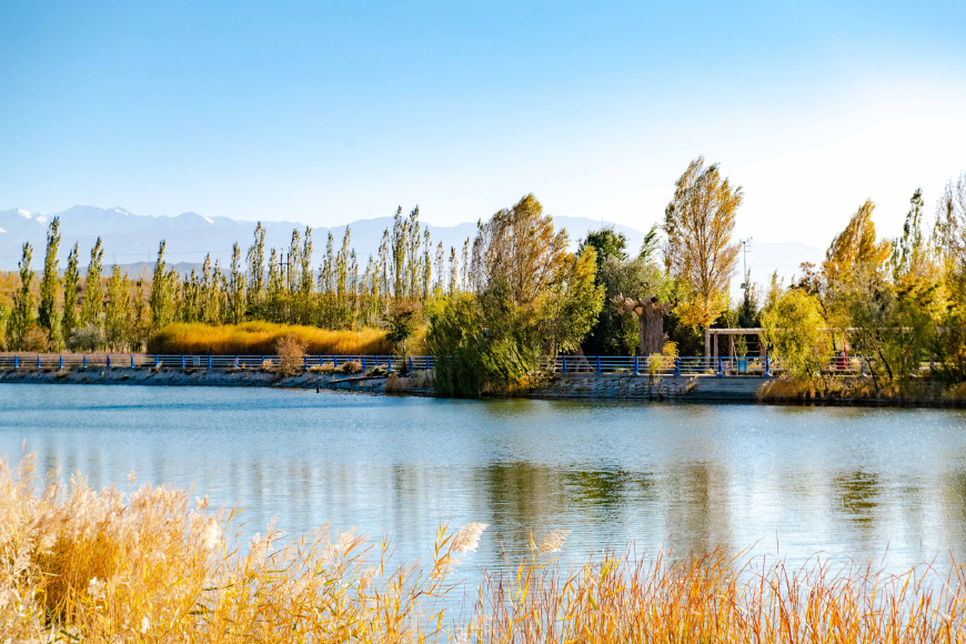 西北第一哨所景点,中国边境的神奇古寨