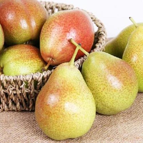 胰岛素可以治疗哪种疾病,胰岛素泵治疗糖尿病的优势