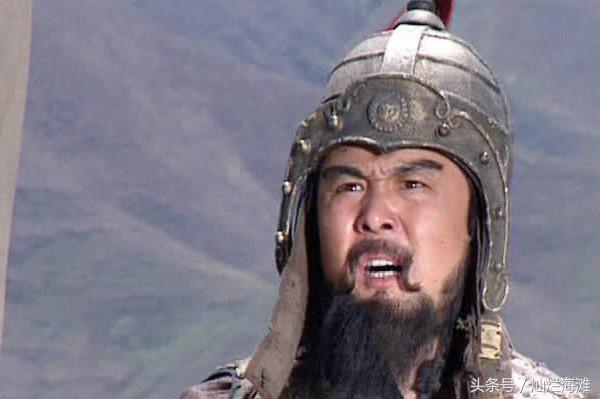 三国成语故事：韬晦之计