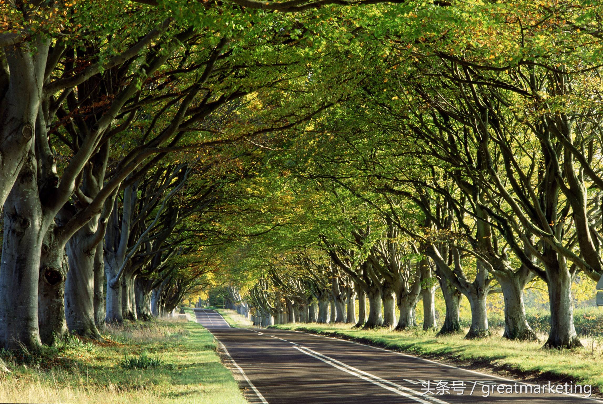 病毒传播行为,病毒感染支付宝