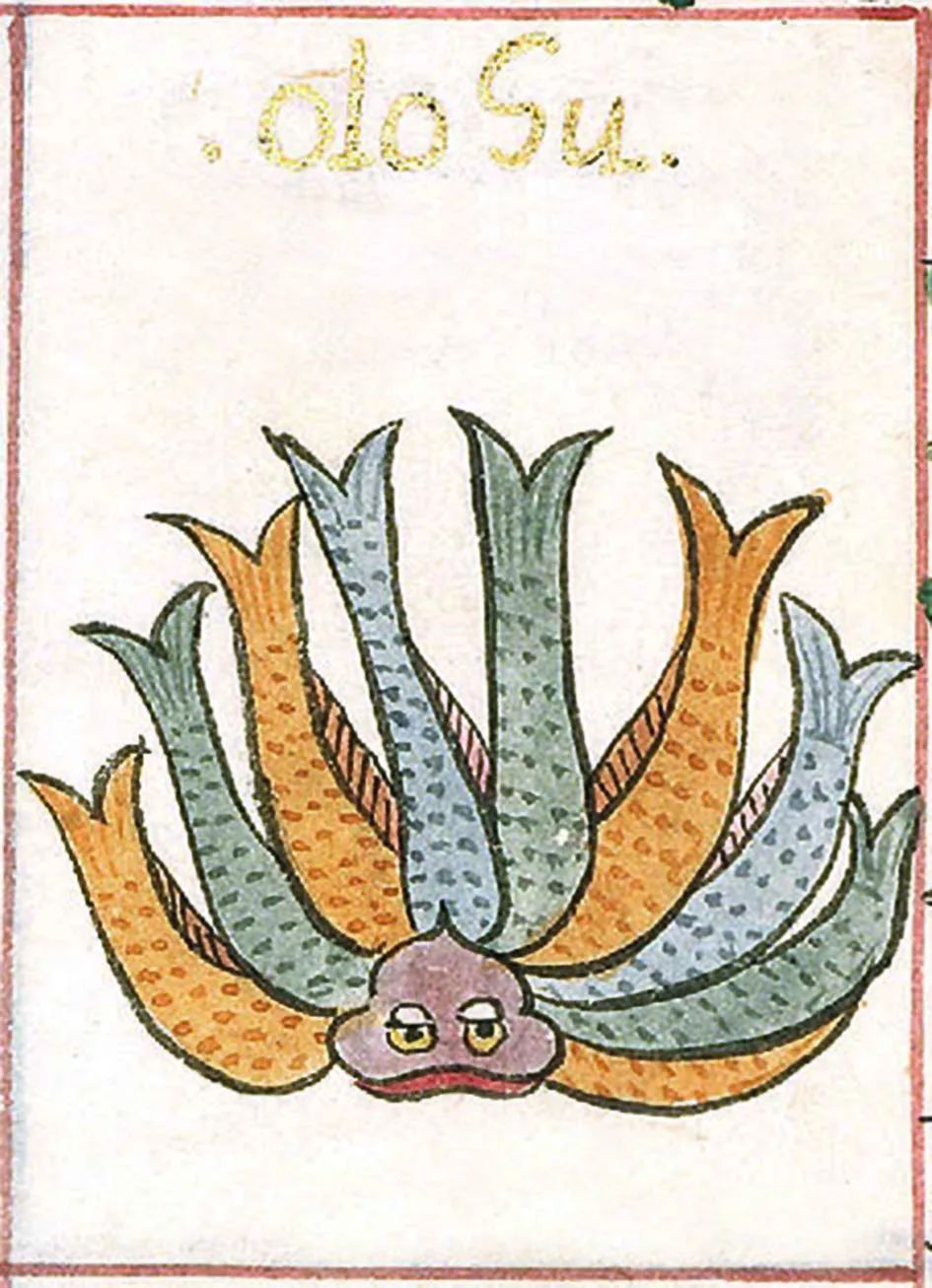 山海经中记载的何罗鱼,山海经何罗鱼在哪里