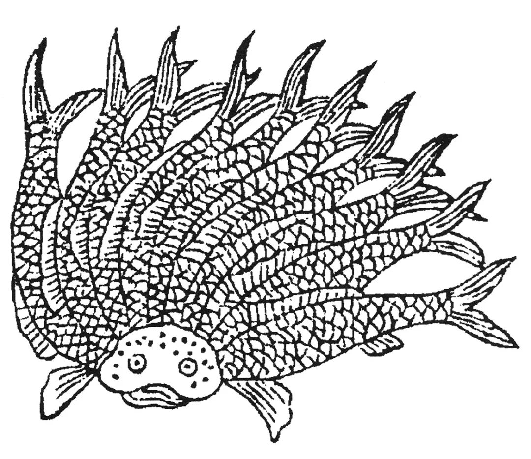 山海经中记载的何罗鱼,山海经何罗鱼在哪里