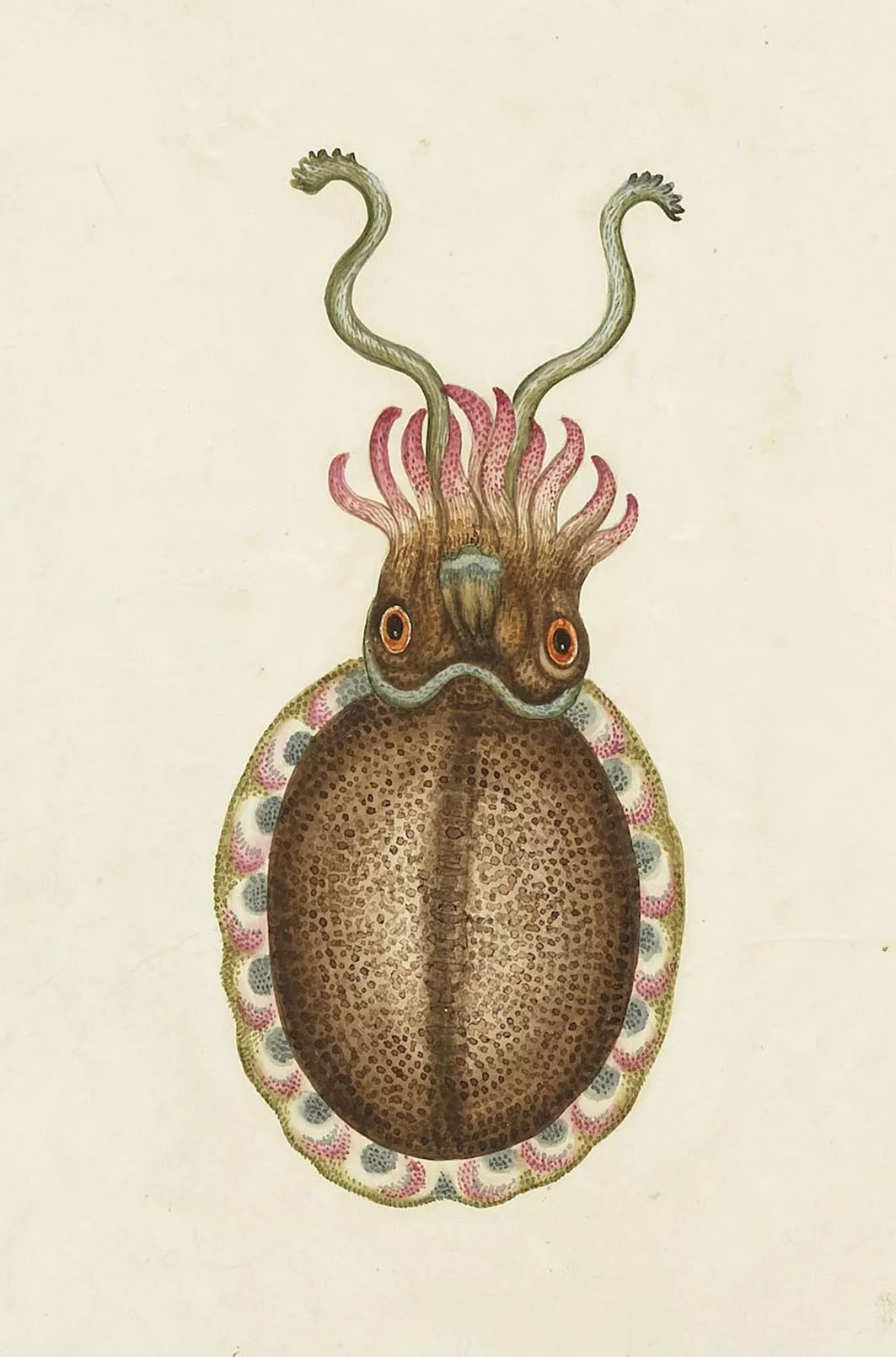 山海经中记载的何罗鱼,山海经何罗鱼在哪里