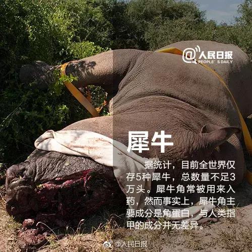 精装变毛坯降价怎么办,精装改毛坯促销