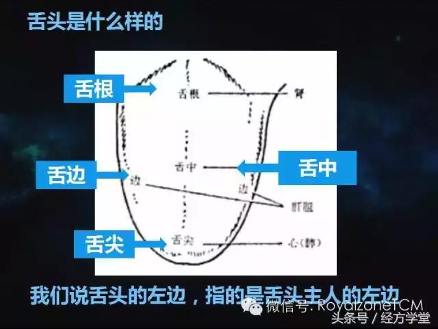 小熊医生,小熊医生舌诊