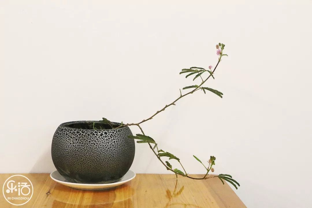 西新这家龟苓膏，从1998开到现在只卖情怀……