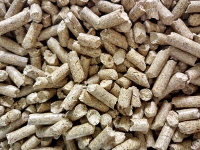 刚开始养猫要准备些什么,第一次养猫的你一定需要这个清单