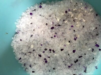 刚开始养猫要准备些什么,第一次养猫的你一定需要这个清单