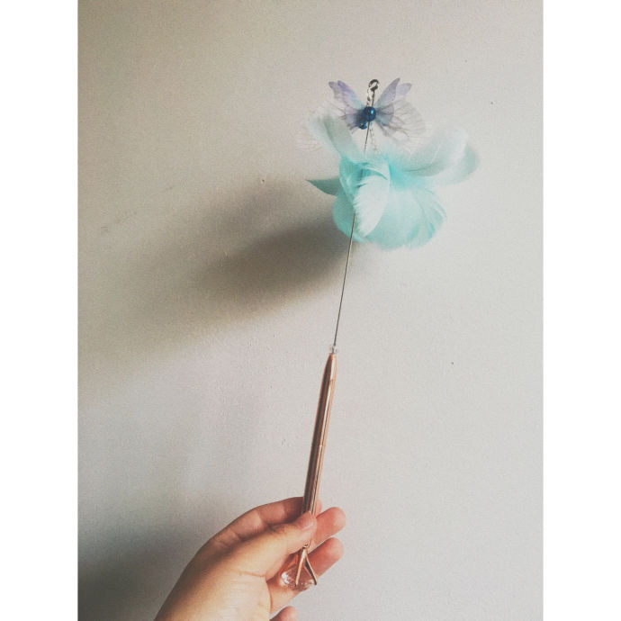 刚开始养猫要准备些什么,第一次养猫的你一定需要这个清单