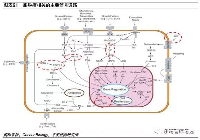 抗肿瘤靶向药物有哪些,第一个抗肿瘤靶向药