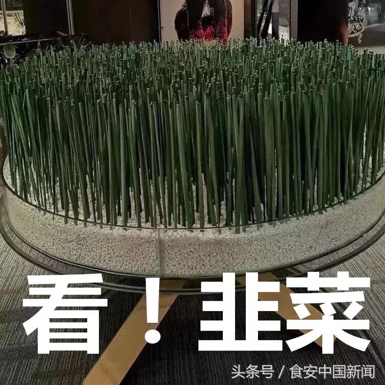 突然又有一家网红美食店关门了,又一家网红火锅店