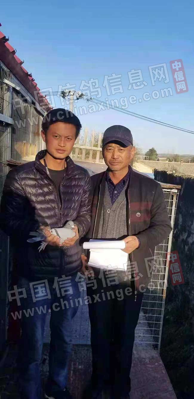 独家首发：宁夏国家赛三万羽总冠军照片