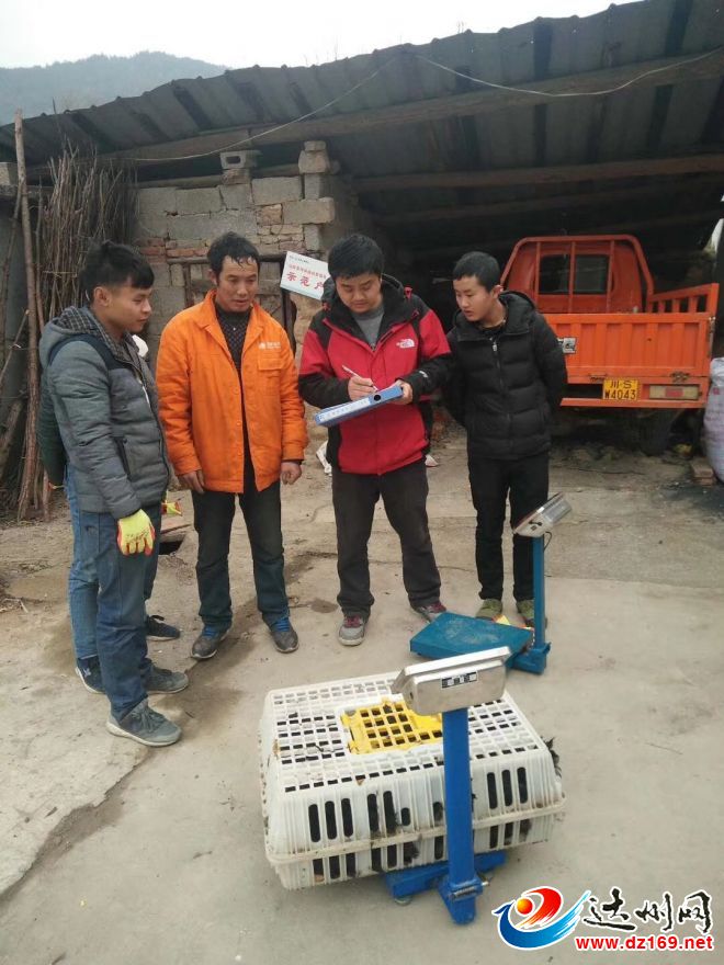 万源“卖鸡哥”为啥点击量破了10万+