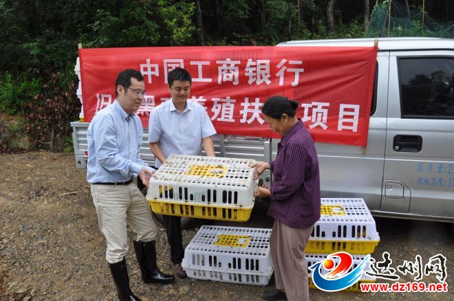 万源“卖鸡哥”为啥点击量破了10万+