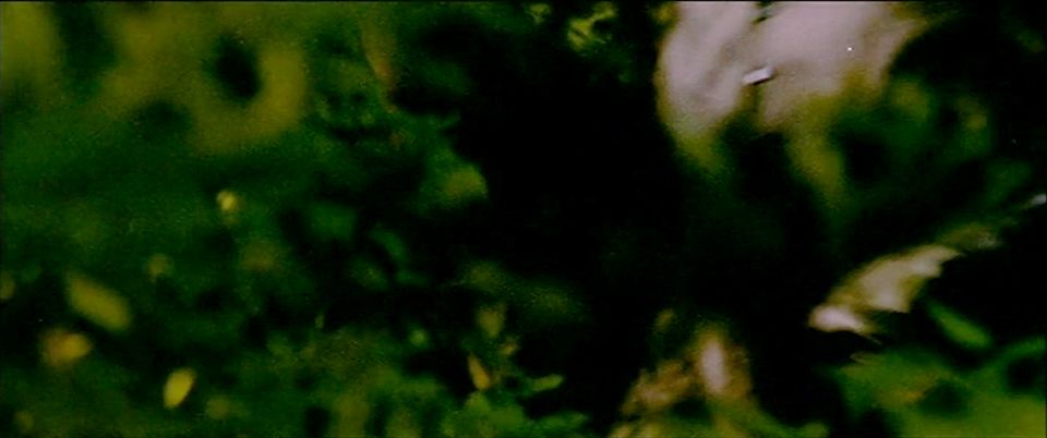 老师与学生的不伦恋，居然隐藏着一起香艳*案惨**