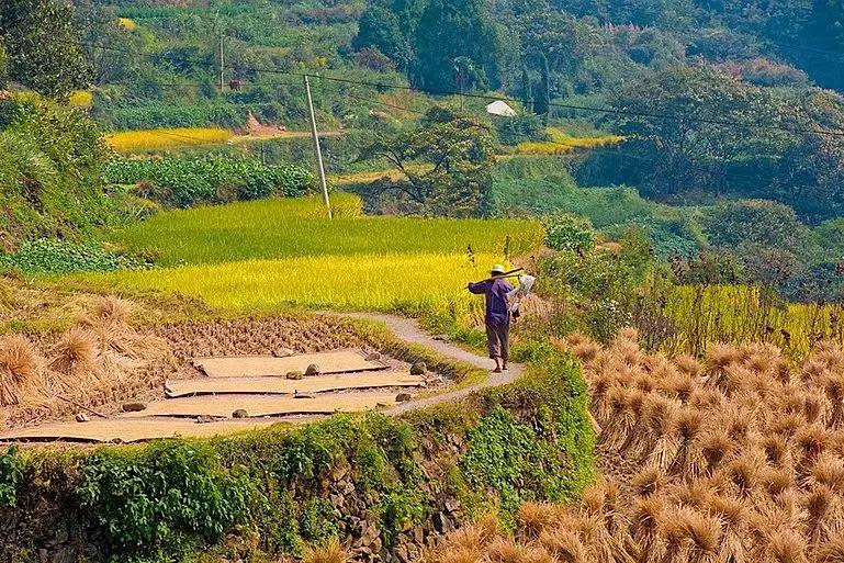 美食超多的江南旅游城市,江南古镇美食推荐