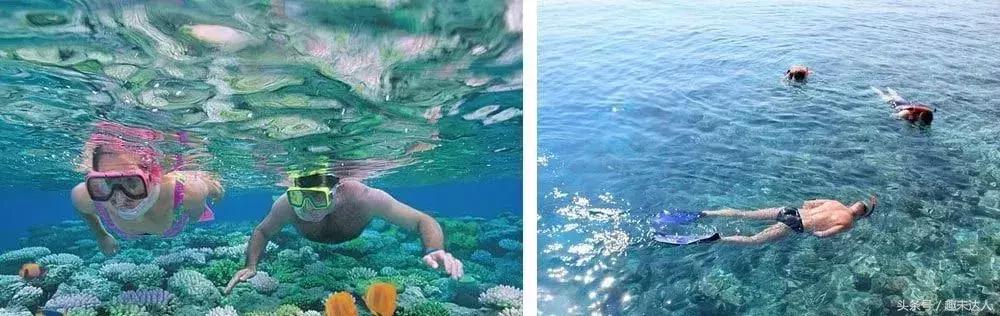 一篇读懂马尔代夫，爱与天堂的代名词，我把整座海岛承包给你