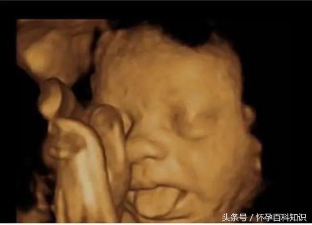 22周胎儿在肚子里的视频,22周胎儿在腹中真实照片