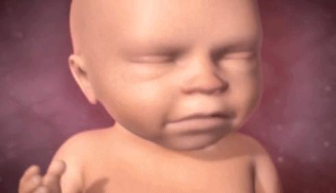 22周胎儿在肚子里的视频,22周胎儿在腹中真实照片