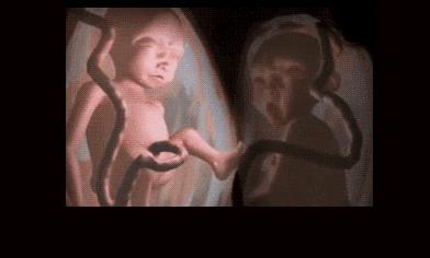 22周胎儿在肚子里的视频,22周胎儿在腹中真实照片