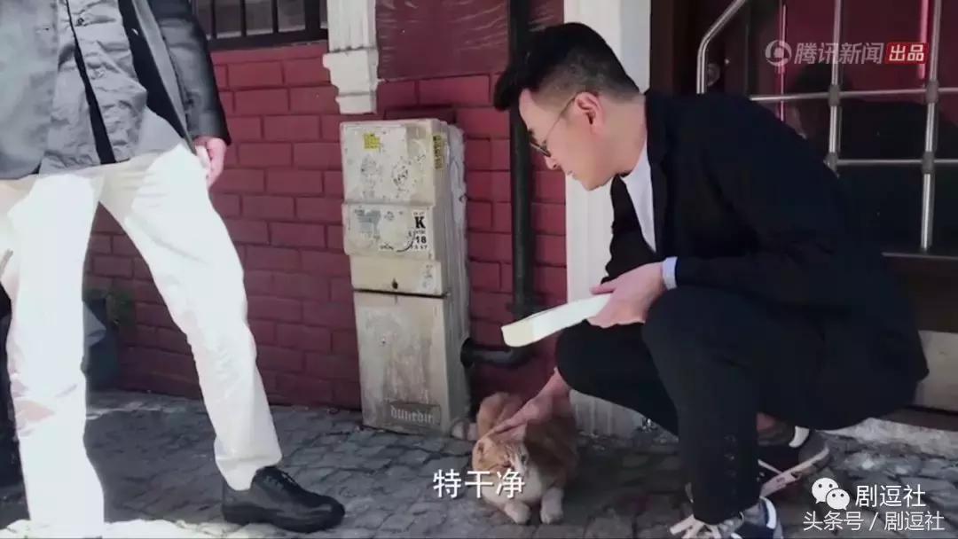 锵锵三人行李敖,锵锵三人行谈中国电影