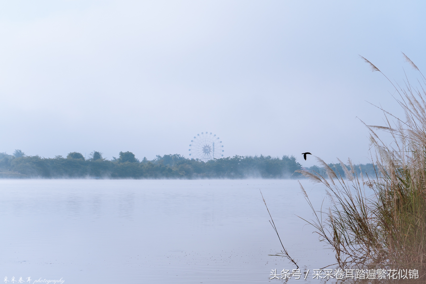 瑞丽最值得去的地方,瑞丽网红打卡地弄莫湖