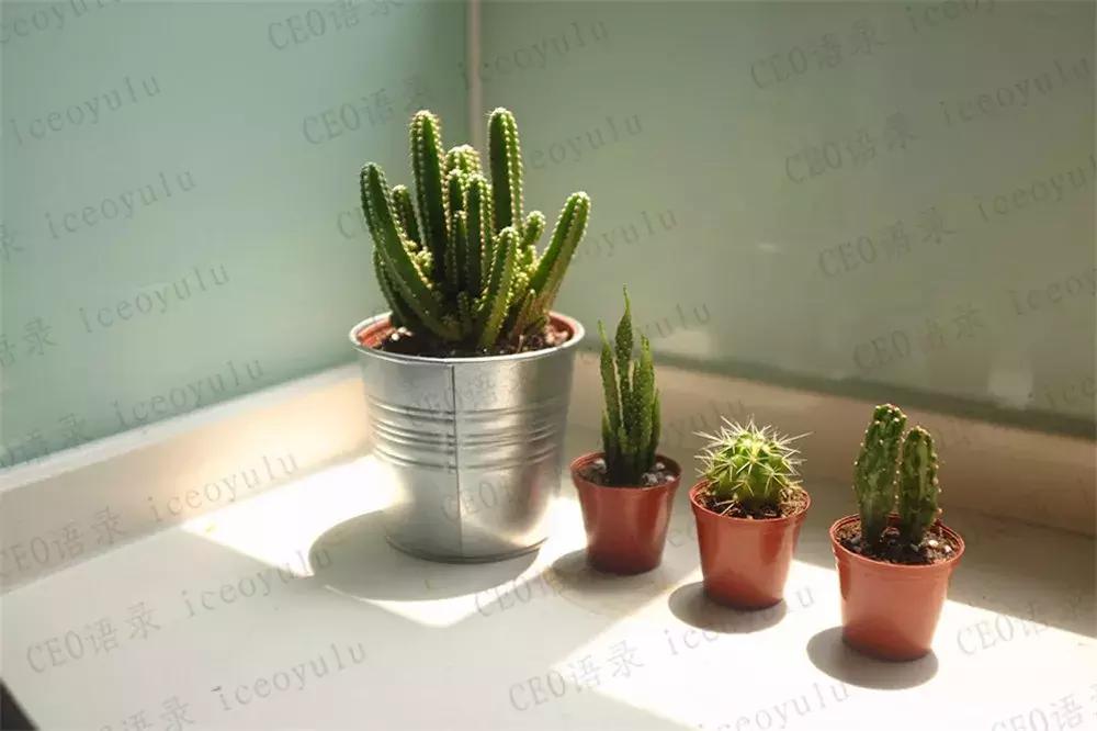 当你一无所有的时候谁会帮你,当你一无所有的时候歌曲