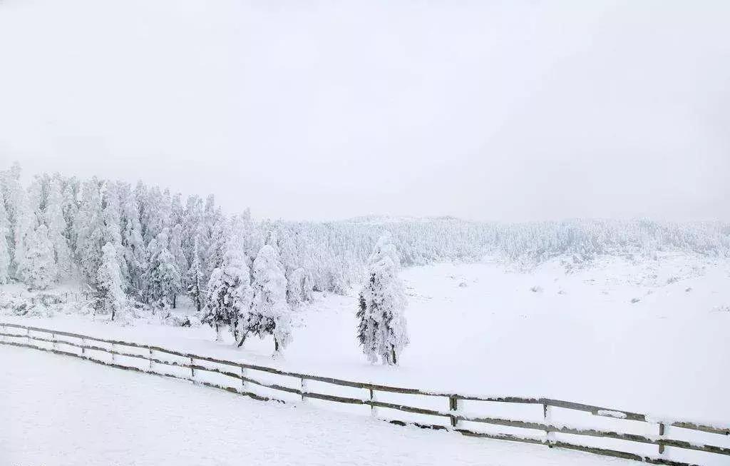 重庆冬天看雪景点,重庆最近看雪景的十大绝佳地点